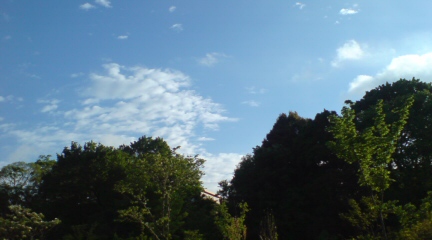 f0162319_1534972.jpg