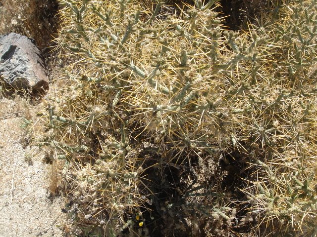 e0119121_15485137.jpg