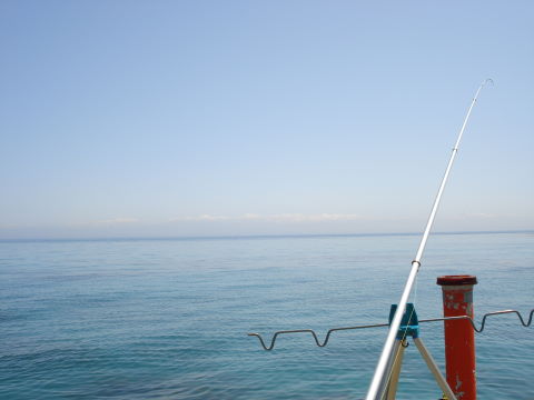 f0033921_5592189.jpg