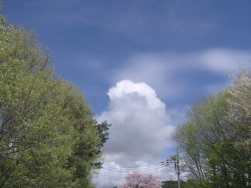 f0128723_23464846.jpg