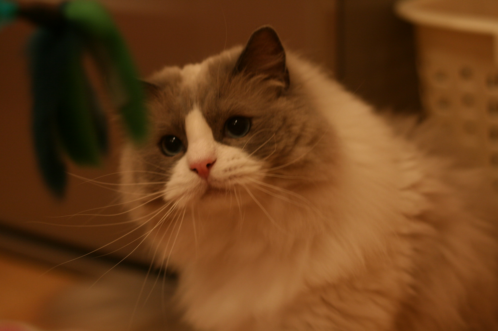 f0153125_2222247.jpg
