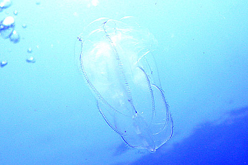 b0044726_2225335.jpg