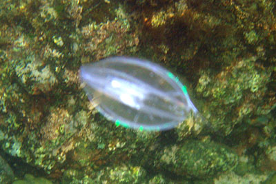 b0044726_2225762.jpg