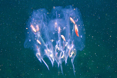 b0044726_22273473.jpg