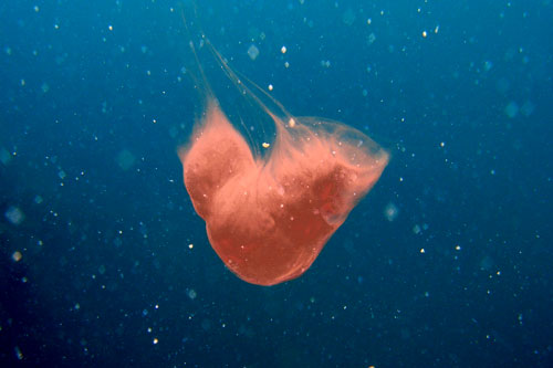 b0044726_22504536.jpg