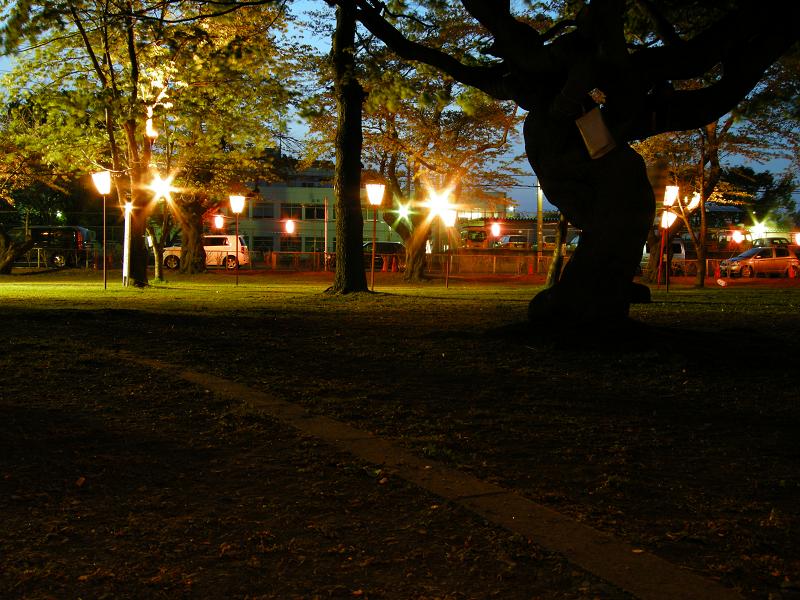 c0144427_19551642.jpg