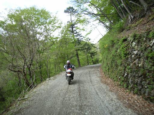 e0063632_13144563.jpg