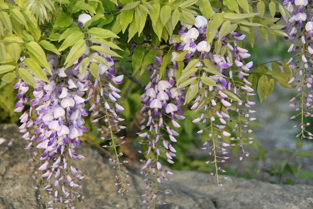 e0064133_0165130.jpg