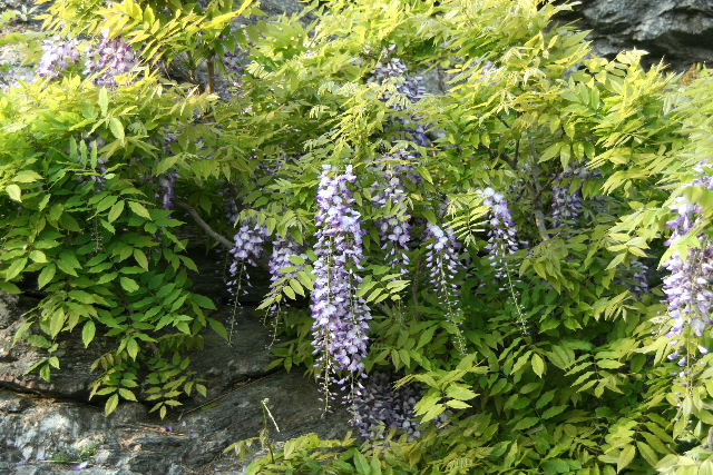 e0064133_017519.jpg