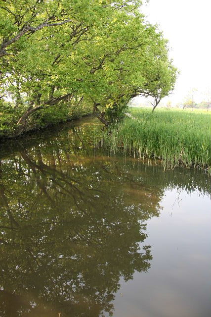 e0064133_0373330.jpg