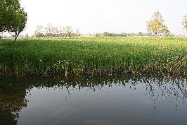 e0064133_0374332.jpg