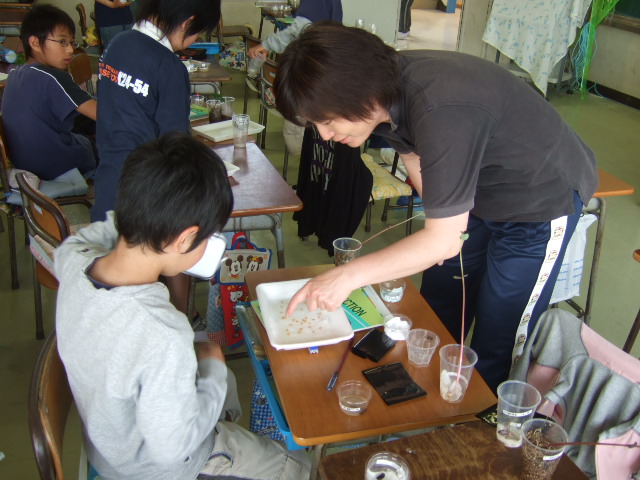 e0069234_15463974.jpg