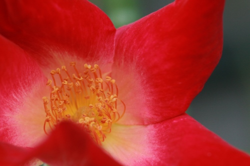 d0043737_23251416.jpg