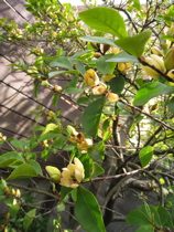 a0068339_165432.jpg