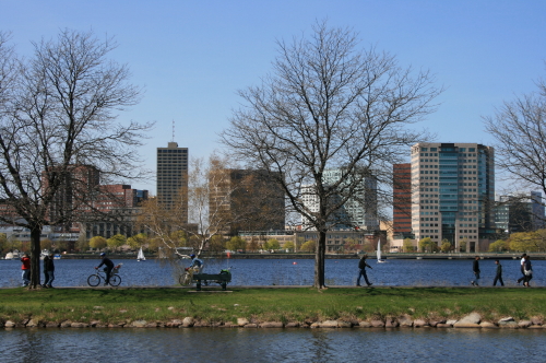 f0153339_7241223.jpg