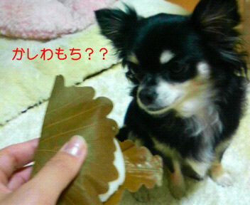 c0121141_0361030.jpg