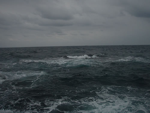 e0018843_21373123.jpg