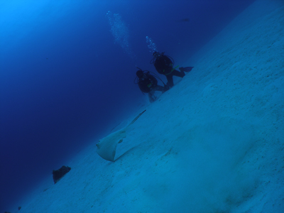 d0065247_005416.jpg