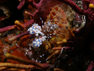 d0065247_01530.jpg