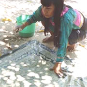a0110150_16272342.jpg