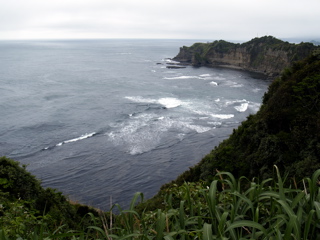 b0058956_923527.jpg