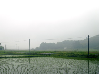 b0058956_92781.jpg