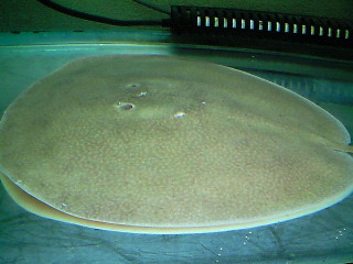 f0009758_17255.jpg