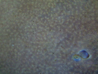 f0009758_18155.jpg