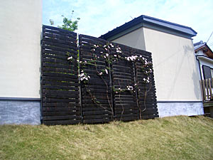 c0051759_2051675.jpg