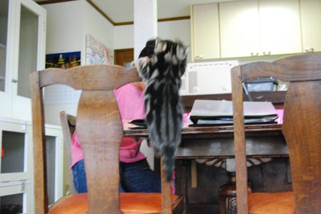 f0043859_21495913.jpg