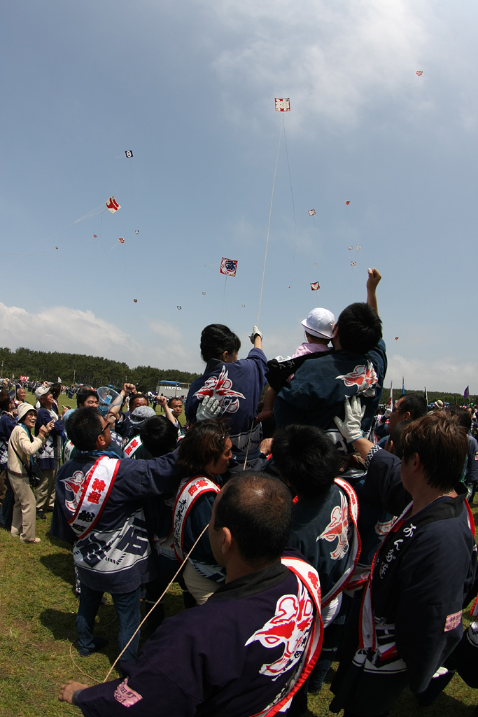 d0148060_1732198.jpg