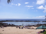 a0048361_819418.jpg
