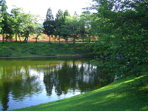 e0037061_15814.jpg