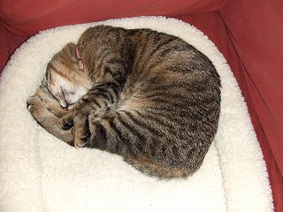 a0104162_2163797.jpg