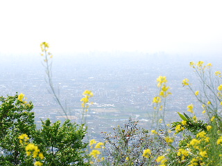 d0087062_23104382.jpg