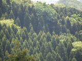 d0087062_2310571.jpg
