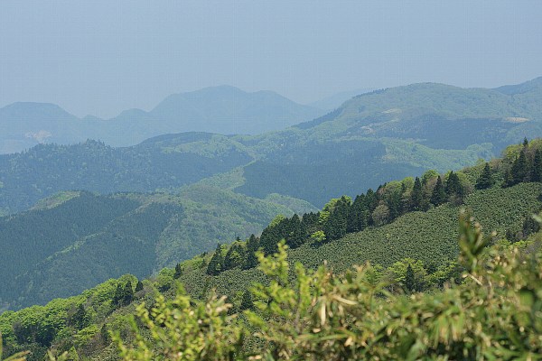 d0128465_12324793.jpg