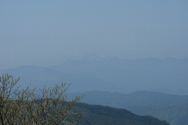 d0128465_1257731.jpg