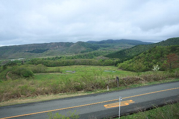 d0128465_15584720.jpg