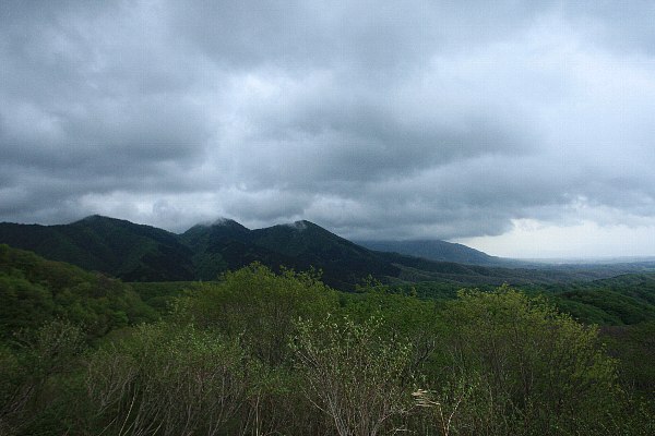 d0128465_1603029.jpg