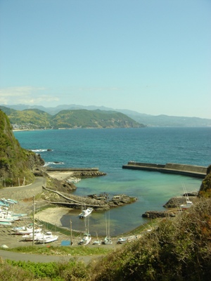 c0102268_0183266.jpg