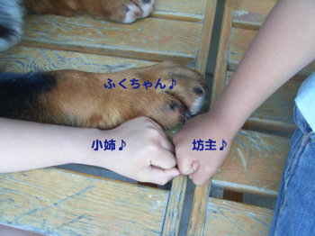 e0124868_13365725.jpg