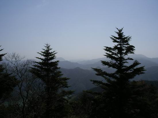 b0033169_06217.jpg