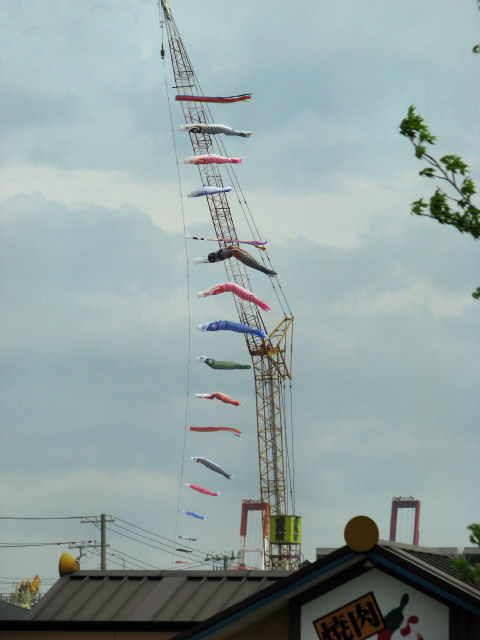 d0079373_11244427.jpg