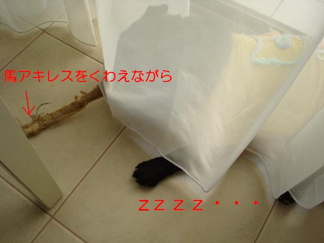 e0134873_15344940.jpg