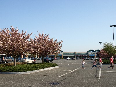 b0131774_1138576.jpg