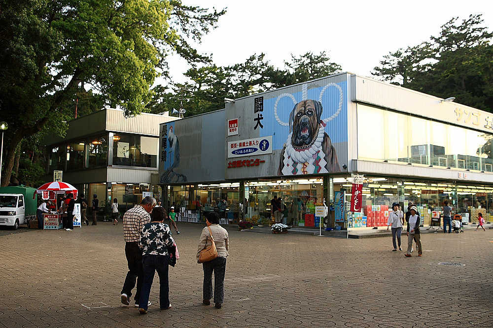 c0030874_995349.jpg