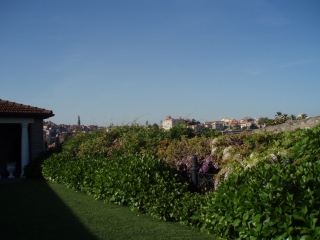 b0086476_10502935.jpg
