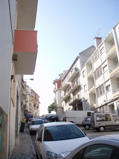 b0086476_11563674.jpg