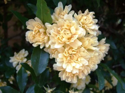 c0078480_0281734.jpg